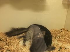 -龙猫仔乐园(惠福东路店)