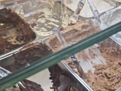 -VENCHI 闻绮(上海佛罗伦萨小镇店)