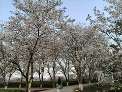 -凤凰沟景区