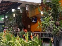 android_upload_pic-云南餐厅