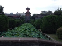 iphone_upload_pic-四川大学(华西校区)