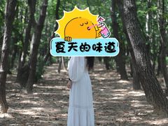 -日照海滨国家森林公园