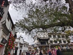 -缘来聚·徽菜名店(黄山宏村店)