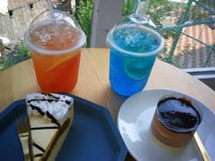 -有猫主题·治愈系猫咖(曾厝垵店)
