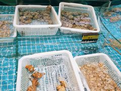 水产区-梦都海鲜酒家(万达广场江桥店)