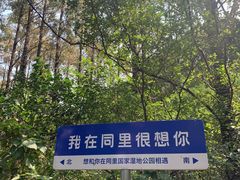 -同里国家湿地公园