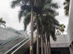 -厦门高崎国际机场-T3航站楼