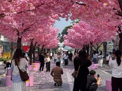 -东莞松山湖万象汇