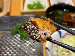 -胜博殿日式炸猪排(悠唐店)