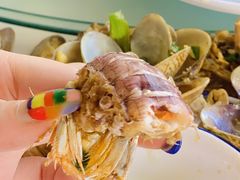 -红月湾海鲜饭店•沙滩海景(双月湾店)