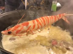 -鲜入围煮花胶鸡海鲜火锅