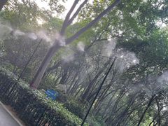 -长乐公园游乐场