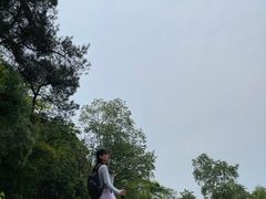 -铁山坪森林公园