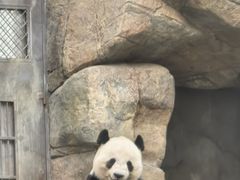 -香港海洋公园