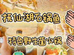 -抚仙湖生态石锅鱼野生菌(告庄店)