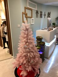 -至臻康妍健康管理中心