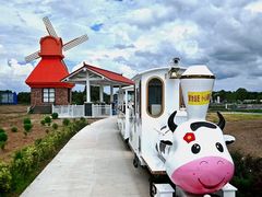 -杭州湾海上花田景区