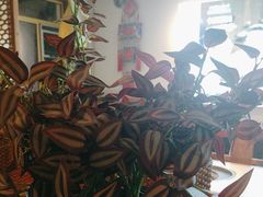 -云尊府云南菜·蒸汽石锅鱼(学清路店)