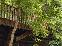 -呀路古热带植物园