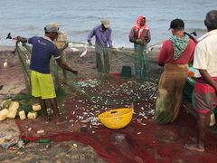 -尼甘布海鲜市场