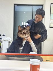 -和良形象