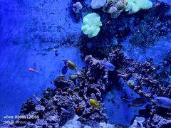 -威海华夏城景区