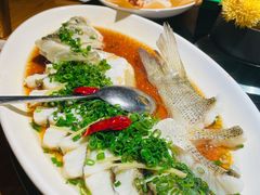 -兴隆·小隆台·温岭菜