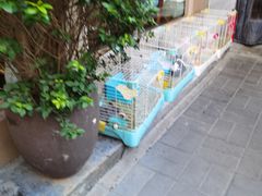 -后海16号·北京私房菜