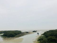 -北海金海湾红树林生态旅游区