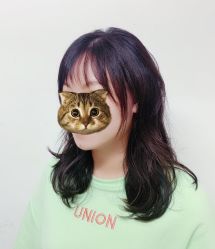 -HairCode芭曲发型