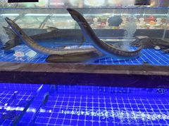 -501號台州海鲜餐厅(海创园店)