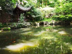 -虎跑公园