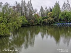 -上海滨江森林公园