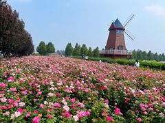 -君乐宝优致牧场