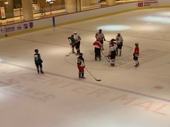 -冠军冰场CHAMPION RINK(苏州中心商场店)