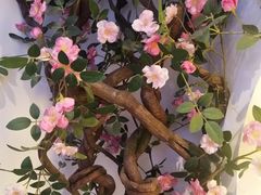 -小天鹅火锅·一线江景洪鼎旗舰店(洪崖洞店)