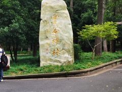 -灵谷景区