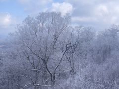 -长白山万达国际滑雪场
