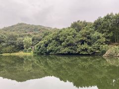 -白马涧龙池景区