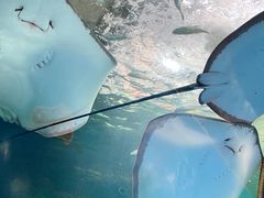 -大明湖海底世界