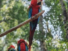 -北京野生动物园