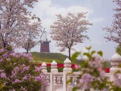 -洪湖湿地生态园