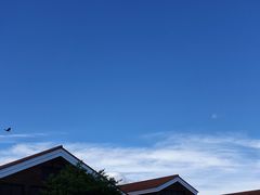 -轻井泽王子购物广场