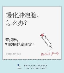 -贞禾医美·连锁