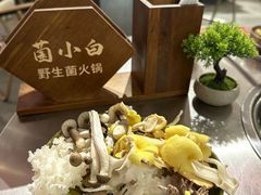 -菌小白火锅(时尚天河店)