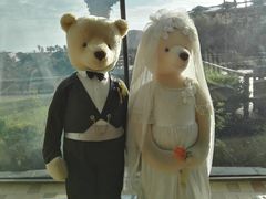 -济州岛泰迪熊博物馆