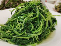 鸡毛菜-胖姐渔村(中源大道店)