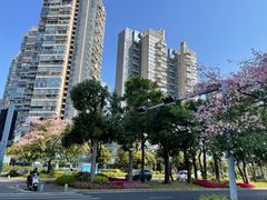 -宝能·all city(南山店)