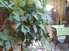 -鱼乐岛餐厅·户外花园主题餐厅