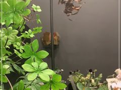 -HELEN FLORAL DESIGN(海上世界文化艺术中心店)
